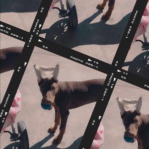 Meet your Posher, Mariela